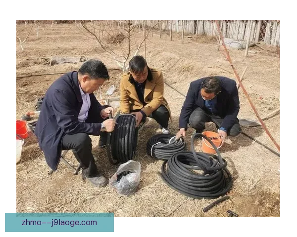 2026世界杯推出创新草坪自热排水技术提升比赛场地表现 2026世界杯推出创新草坪自热排水技术提升比赛场地表现